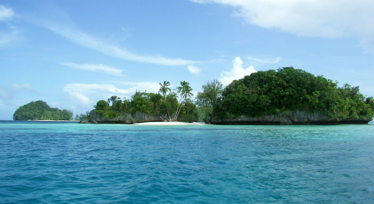 mangrove covered islands